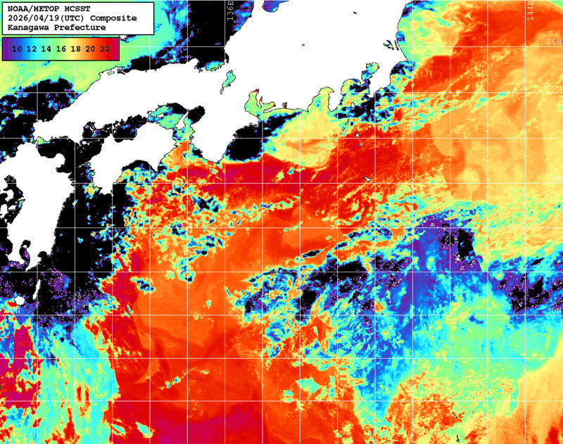 NOAA、MetOp 人工衛星画像 検索結果, 水温分布を図示