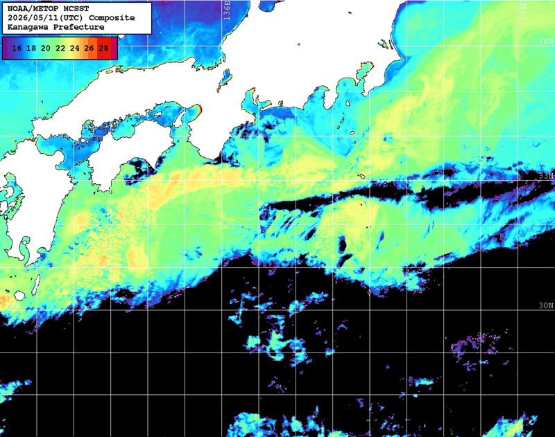 NOAA、MetOp 人工衛星画像 検索結果, 水温分布を図示