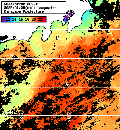 NOAA、MetOp 人工衛星画像 検索結果, 水温分布を図示