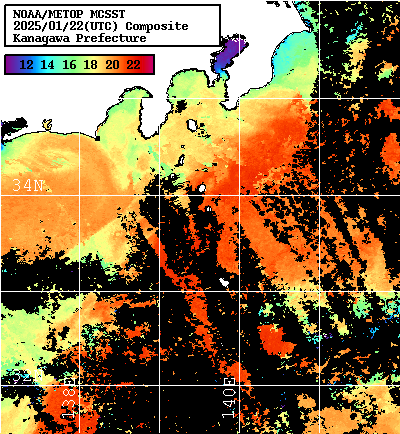 NOAA、MetOp 人工衛星画像 検索結果, 水温分布を図示