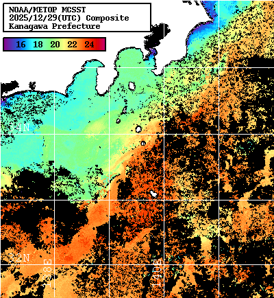 NOAA、MetOp 人工衛星画像 検索結果, 水温分布を図示