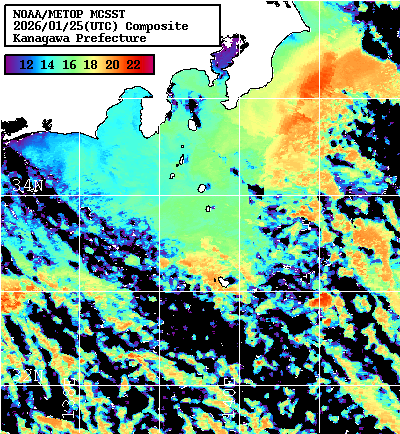 NOAA、MetOp 人工衛星画像 検索結果, 水温分布を図示