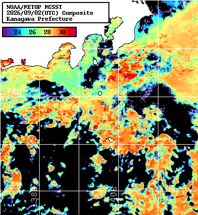 NOAA、MetOp 人工衛星画像 検索結果, 水温分布を図示