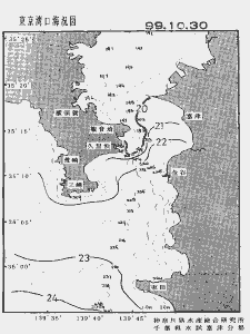 東京湾口海況図(1999/10/30)