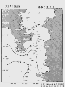 東京湾口海況図(1999/12/11)