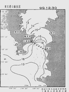 東京湾口海況図(1999/12/30)