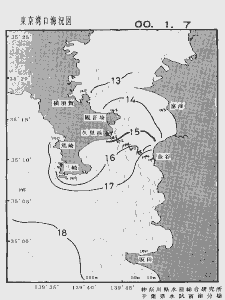 東京湾口海況図(2000/01/07)