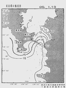 東京湾口海況図(2000/01/13)