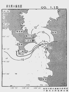 東京湾口海況図(2000/01/15)