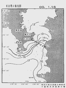東京湾口海況図(2000/01/16)