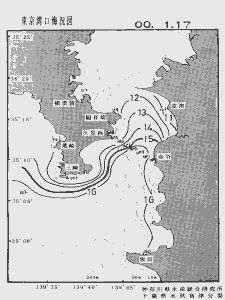 東京湾口海況図(2000/01/17)