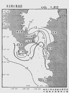 東京湾口海況図(2000/01/22)