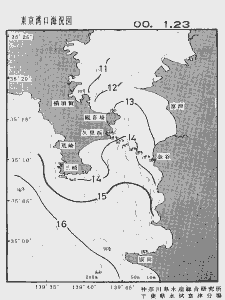 東京湾口海況図(2000/01/23)
