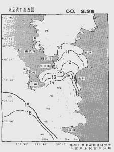 東京湾口海況図(2000/02/28)