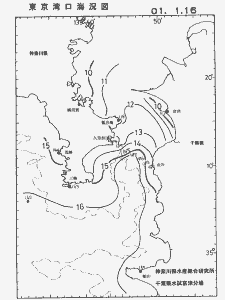 東京湾口海況図(2001/01/16)
