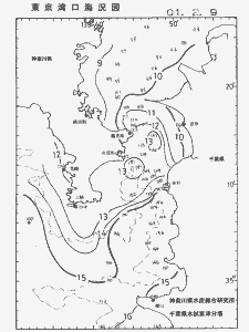 東京湾口海況図(2001/02/09)