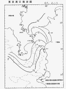 東京湾口海況図(2001/02/11)