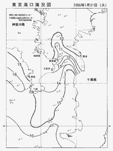 東京湾口海況図(2006/01/31)
