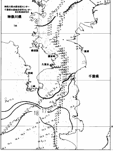 東京湾口海況図(2023/03/31)