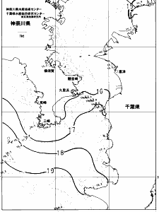 東京湾口海況図(2023/04/06)