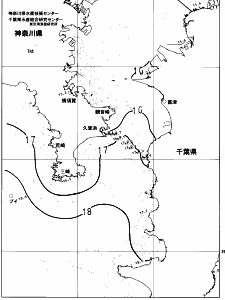 東京湾口海況図(2023/04/07)