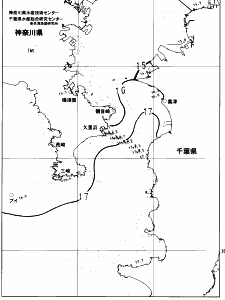 東京湾口海況図(2023/04/09)