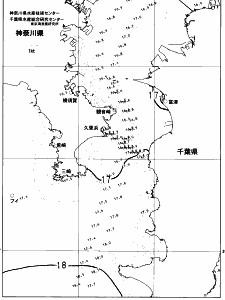 東京湾口海況図(2023/04/19)