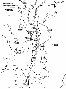 東京湾口海況図(2023/04/28)