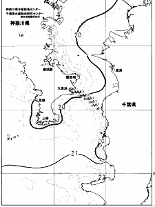 東京湾口海況図(2023/05/30)