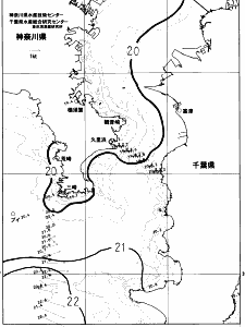 東京湾口海況図(2023/05/31)