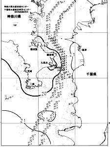 東京湾口海況図(2023/06/05)