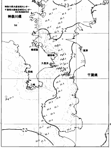 東京湾口海況図(2023/06/20)