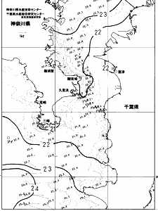 東京湾口海況図(2023/06/22)