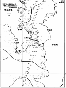 東京湾口海況図(2023/06/24)