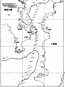 東京湾口海況図(2023/06/26)