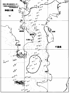 東京湾口海況図(2023/06/27)