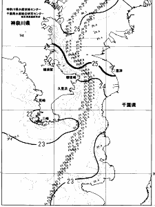 東京湾口海況図(2023/07/05)