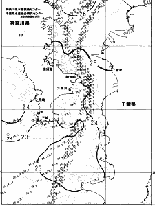 東京湾口海況図(2023/07/12)