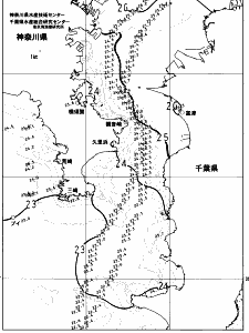東京湾口海況図(2023/07/13)