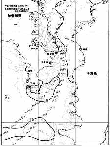 東京湾口海況図(2023/07/30)