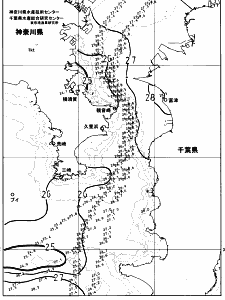 東京湾口海況図(2023/07/31)