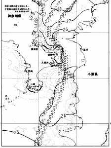 東京湾口海況図(2023/08/05)