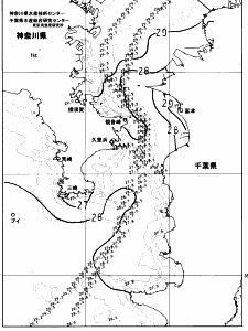 東京湾口海況図(2023/08/21)