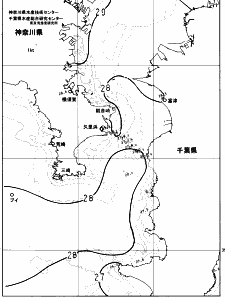 東京湾口海況図(2023/08/29)