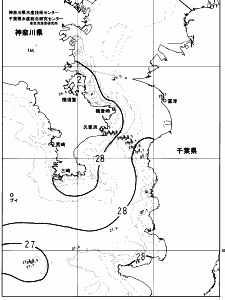 東京湾口海況図(2023/08/30)