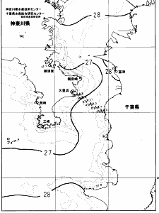 東京湾口海況図(2023/09/15)