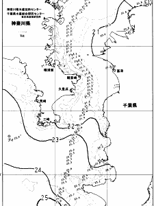 東京湾口海況図(2023/10/18)