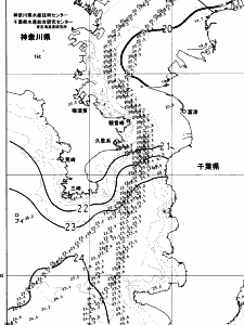 東京湾口海況図(2023/11/03)