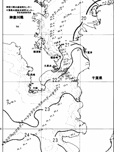 東京湾口海況図(2023/11/08)