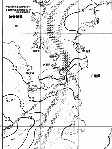 東京湾口海況図(2023/11/13)